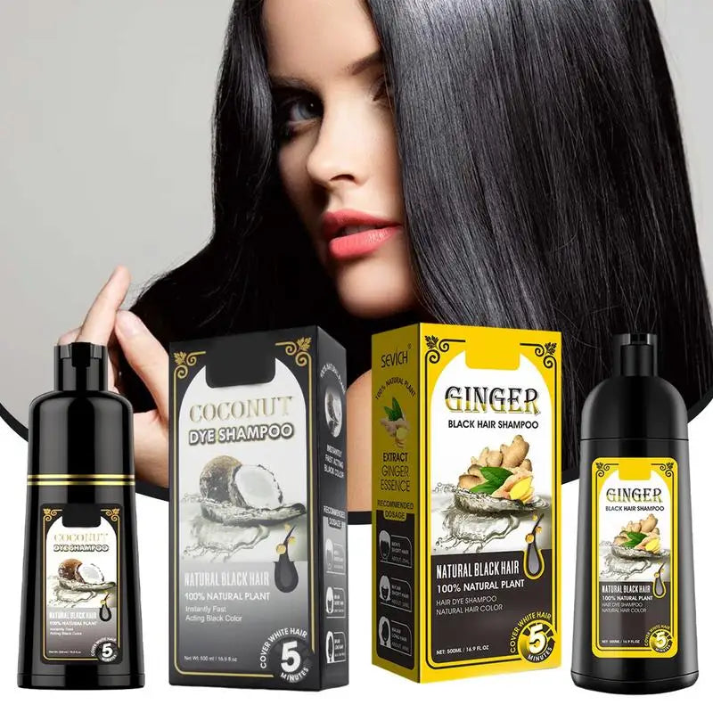 500ml Hair Color Shampoo Black Hair Dye Covering White Hair Shampoo Coconut Ginger Black Hair Dye Fast Hair Dye Cream Styling