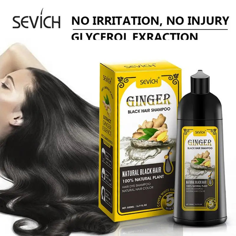 500ml Hair Color Shampoo Black Hair Dye Covering White Hair Shampoo Coconut Ginger Black Hair Dye Fast Hair Dye Cream Styling